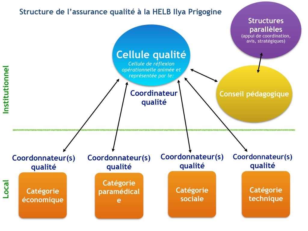 Organigramme